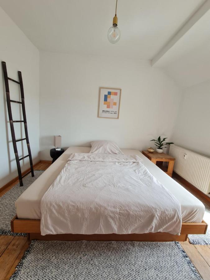 Geschmackvolle Wohnung Im Herzen Von Зинциг Екстериор снимка